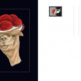 Postkarte Bollenhut Alpaka