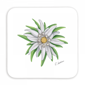 Untersetzer 9x9 - Edelweiss