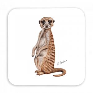 Untersetzer 9x9 - Erdmännchen