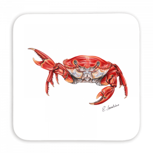 Untersetzer 9x9 - Krabbe