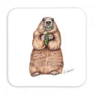 Untersetzer 9x9 - Murmeltier