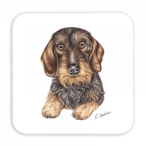 Untersetzer 9x9 - Rauhaardackel