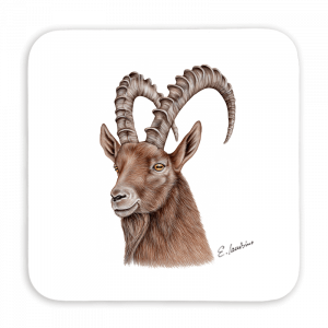 Untersetzer 9x9 - Steinbock