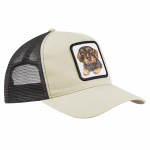 cap-rauhaardackel