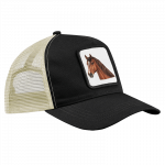 cap-pferd