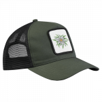 cap-edelweiss