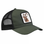 cap-steinbock