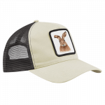cap-hase