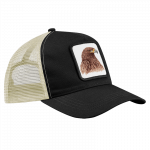 cap-steinadler