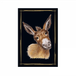 magnet-esel