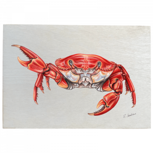 Holztafel - Krabbe