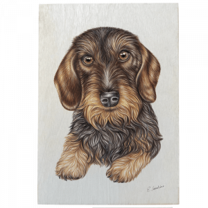 Holztafel Rauhaardackel