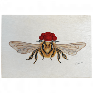 Holztafel Bollenhut Biene frontal