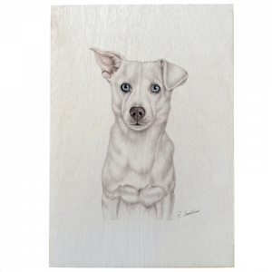 Holztafel - Mr. Chewing Gum