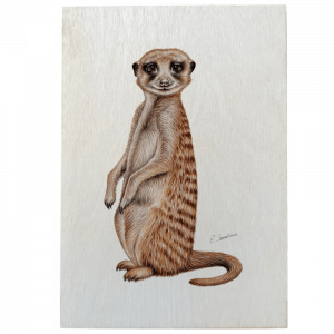 Holztafel - Erdmännchen