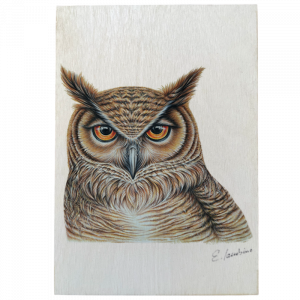 Holztafel Eule