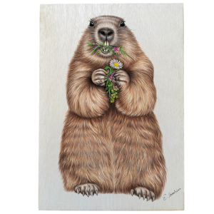 Holztafel Murmeltier