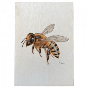 Holztafel - Biene