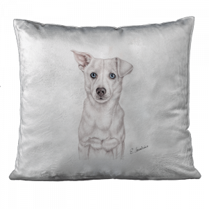 KISSEN - Mr. Chewing Gum