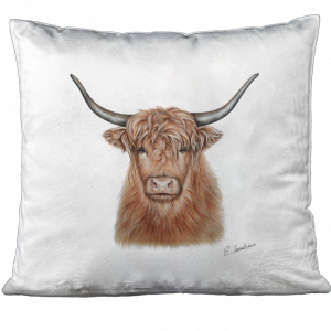 KISSEN - Hochlandrind