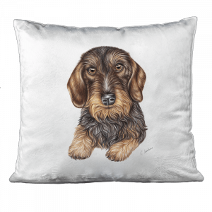 Kissen - Rauhaardackel