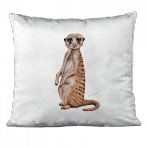 KISSEN - Erdmännchen