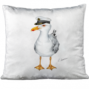 KISSEN - Kapitän Möwe