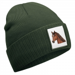 muetze-pferd