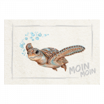 magnet-schildkroete-moin-moin