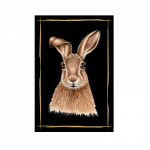magnet-hase