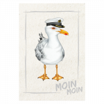 magnet-kapitaen-moewe-moin-moin