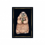 magnet-murmeltier