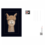 postkarte-alpaka
