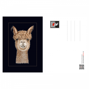Postkarte Alpaka