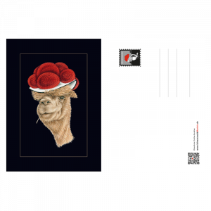 Postkarte Bollenhut Alpaka