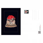 postkarte-bollenhut-eule