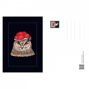 Postkarte Bollenhut Eule