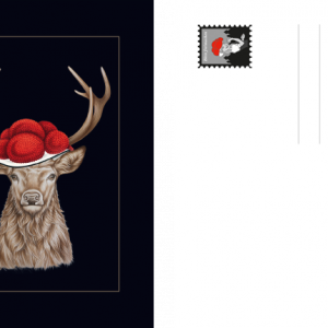 Postkarte Bollenhut Hirsch 2