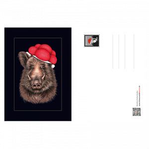 Postkarte Bollenhut Keiler