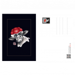 postkarte-bollenhut-kuh-mit-blume