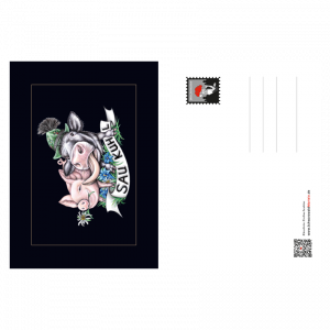 Postkarte Saukuhl Alpen