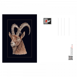 postkarte-steinbock