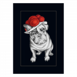 postkarte-bollenhut-bulldogge