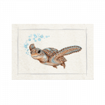 magnet-schildkroete