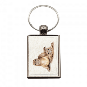 Schlüsselanhänger Robben, rechteckig, 40x25mm