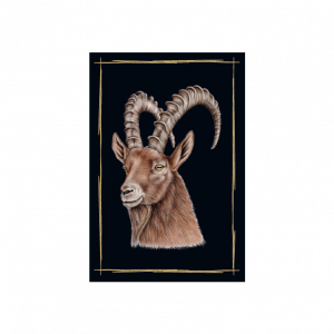 Magnet Steinbock