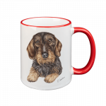 tasse-rauhaardackel
