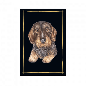 Magnet Rauhaardackel