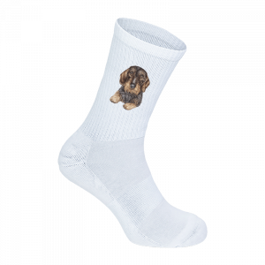 Tennissocken - Rauhaardackel