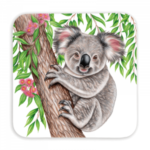 Untersetzer 9x9 Wild - Koala